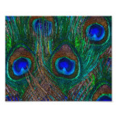 Midnight Peacock Feathers Etching Style Decor Foto Afdruk (Voorkant)