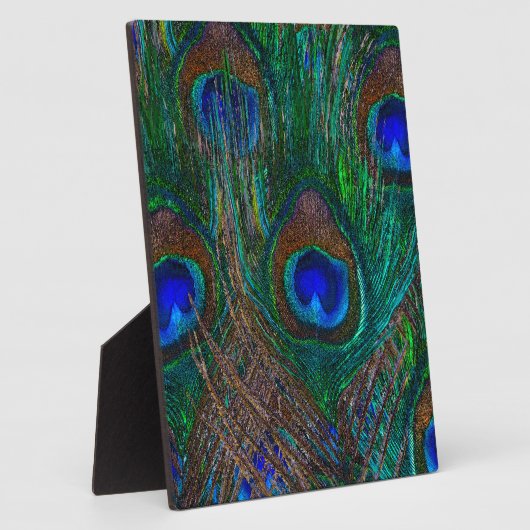 Midnight Peacock Feathers Etching Style Decor Fotoplaat (Zijkant)