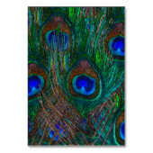 Midnight Peacock Feathers Etching Style Decor Kaart (Voorkant)