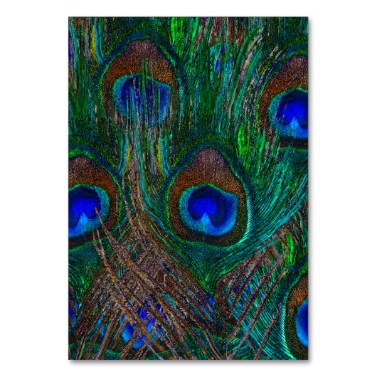 Midnight Peacock Feathers Etching Style Decor Kaart (Voorkant)