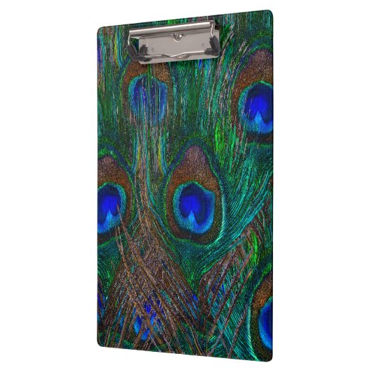 Midnight Peacock Feathers Etching Style Decor Klembord (Links)