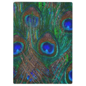 Midnight Peacock Feathers Etching Style Decor Klembord (Achterkant)