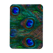 Midnight Peacock Feathers Etching Style Decor Magneet (Verticaal)