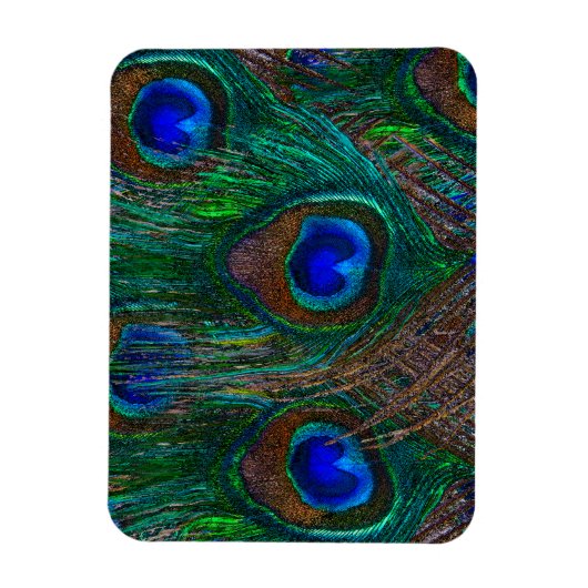 Midnight Peacock Feathers Etching Style Decor Magneet (Verticaal)
