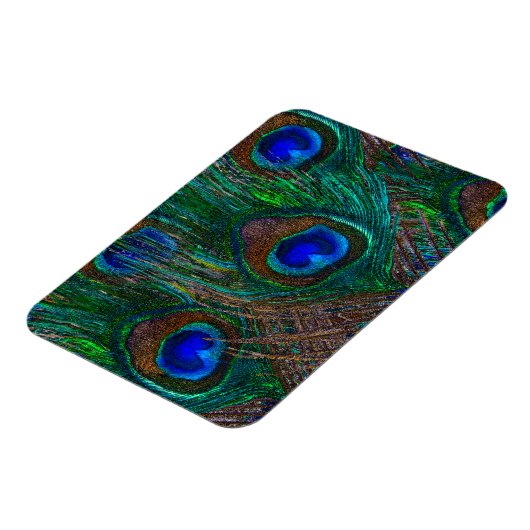 Midnight Peacock Feathers Etching Style Decor Magneet (Linkerzijde)