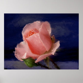 Midnight Roos Poster