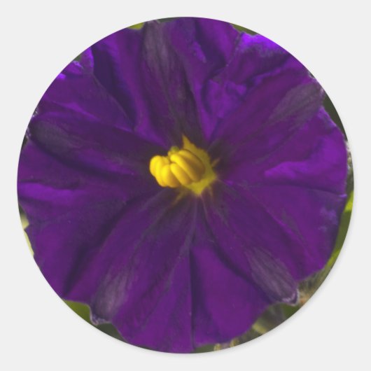 Midnight Shade Ronde Sticker (Voorkant)