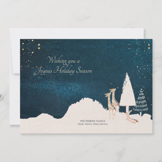 Midnight Sky Holiday Greep Card Feestdagenkaart (Voorkant)