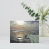 Midnight sun & polair beer, Arctic Ocean Briefkaart (Staand voorkant)