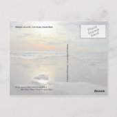 Midnight sun & polair beer, Arctic Ocean Briefkaart (Achterkant)