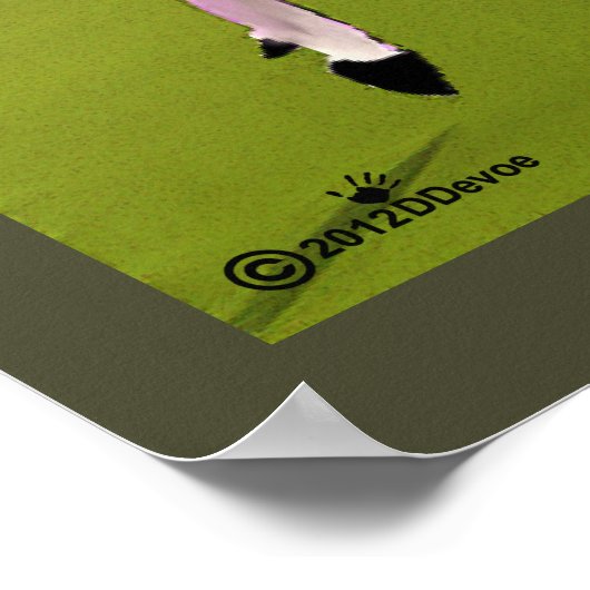 Midnight Sun Polo Poster (Hoek)