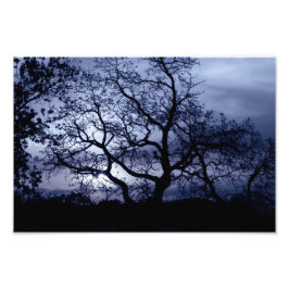 Midnight Sunset Foto Afdruk