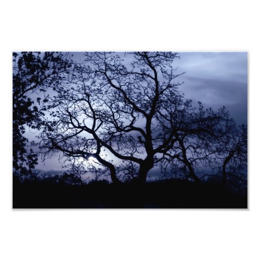 Midnight Sunset Foto Afdruk (Voorkant)