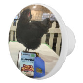 Midnight the Ameraucana champion kip knob pull Keramische Knop (Rechts)