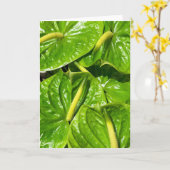 Midori Anthuriums Kaart (Gele Bloem)