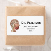 Midsagittal Brain Cross Etiket (Insitu)