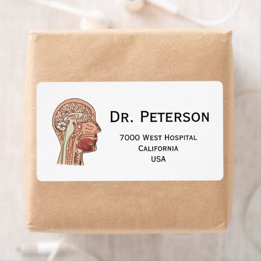 Midsagittal Brain Cross Etiket (Insitu)