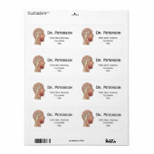 Midsagittale Hersen Doorsnede Etiket (Full Sheet)