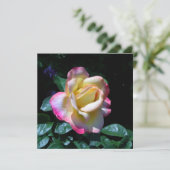 Midsummer Tuin Roos Kaart (Staand voorkant)