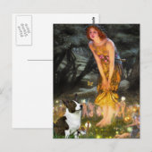 Midsummeravond - Cardigan Welsh Corgi Briefkaart (Voorkant / Achterkant)