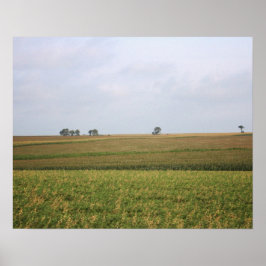 Midwest Cornfield Landscape Color 16x20 Poster
