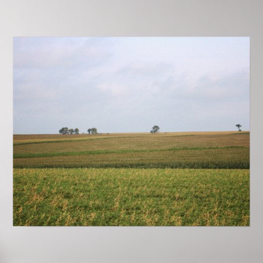 Midwest Cornfield Landscape Color 16x20 Poster (Voorkant)