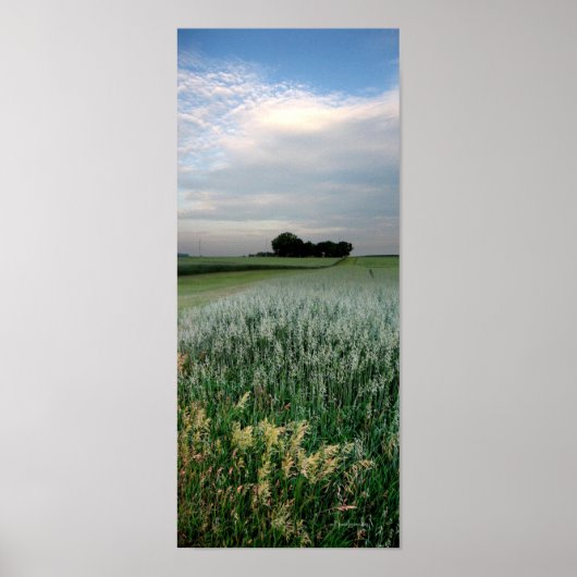 Midwest Farmland Wheat Field Poster (Voorkant)