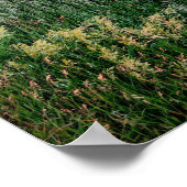 Midwest Farmland Wheat Field Poster (Hoek)