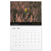 Midwest Fields & Waterscapes 2022 Kalender (Mar 2026)