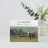 Midwest Fotografie | Mooie Koe en landschap Briefkaart (Staand voorkant)