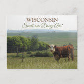 Midwest Fotografie | Mooie Koe en landschap Briefkaart (Voorkant)