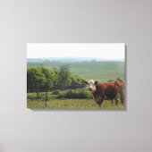 Midwest Fotografie | Mooie Koe en landschap Canvas Afdruk (Voorkant)