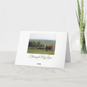 Midwest Fotografie | Mooie Koe en landschap Kaart (Achterkant)