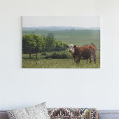 Midwest Fotografie | Mooie Koe en landschap Poster