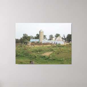 Midwest Mama en Baby alpaca  Fotografie Wand Kunst Canvas Afdruk