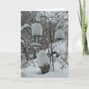 Midwest Winter Snowbird Card Humoureuze Feestdagen Kaart