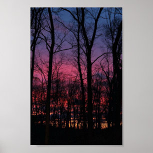 Midwest zonsondergang door de bomen poster