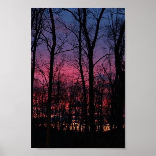 Midwest zonsondergang door de bomen poster (Voorkant)