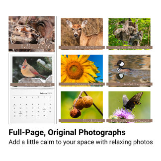 Midwestern Backyard Natuur Fotografiekalender Kalender