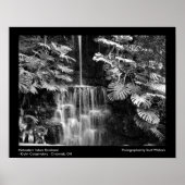 MidWestern Rainforest Poster (Voorkant)