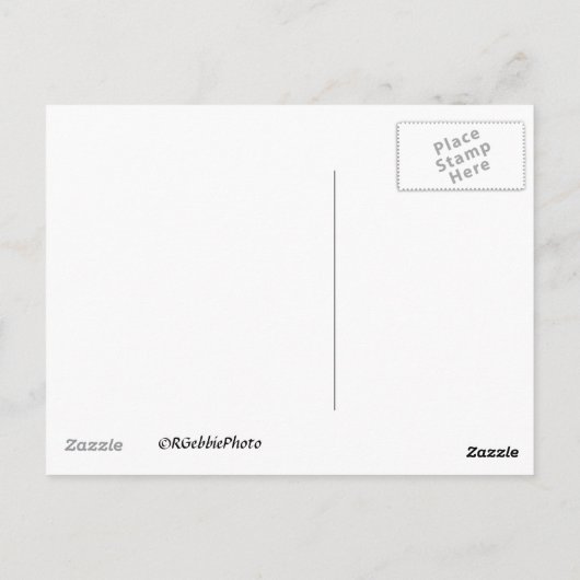 Midwifery Briefkaart (Achterkant)