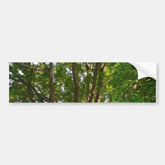 Midzomer Light Småland Bumpersticker (Voorkant)