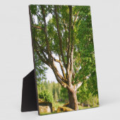 Midzomer Light Småland Fotoplaat (Zijkant)