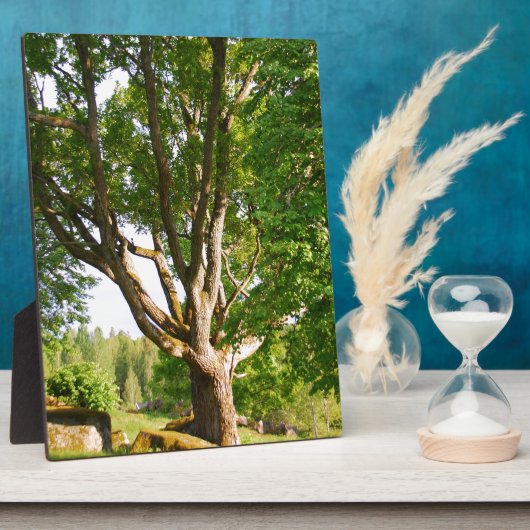 Midzomer Light Småland Fotoplaat (Zijkant)