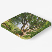 Midzomer Light Småland