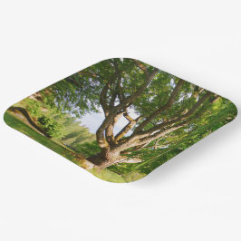 Midzomer Light Småland Papieren Bordje