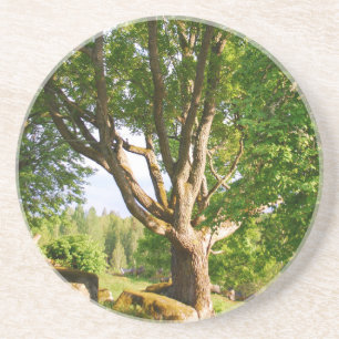 Midzomer Light Småland Zandsteen Onderzetter