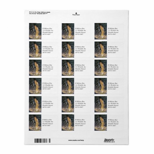 Midzomer Night Fairy Dance Etiket (Full Sheet)