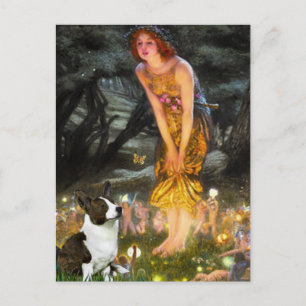 Midzomeravond - Cardigan Welsh Corgi Briefkaart