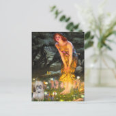 Midzomeravond - Shih Tzu (P) Briefkaart (Staand voorkant)